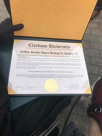 O diploma de Griffin.