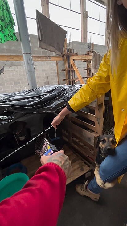A médica veterinária Liandra Dall”Orsoletta, mora em Chapecó, Santa Catarina e veio para o RS para fazer doação aos abrigos de cães.