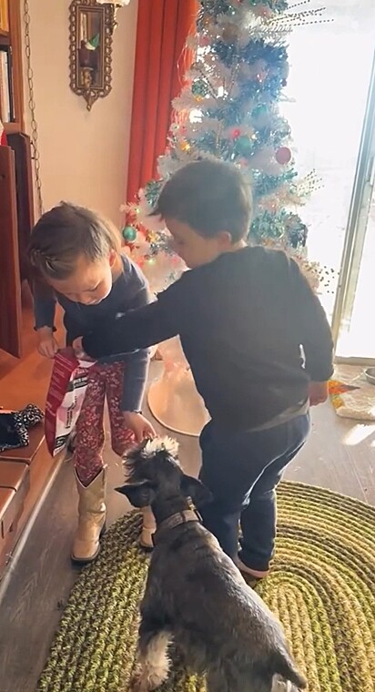 O cãozinho ama brincar com as crianças.