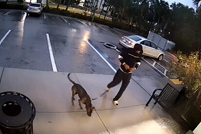 Homem encapuzado força porta, deixa cachorrinha dentro de clínica e funcionários ficam confusos no outro dia