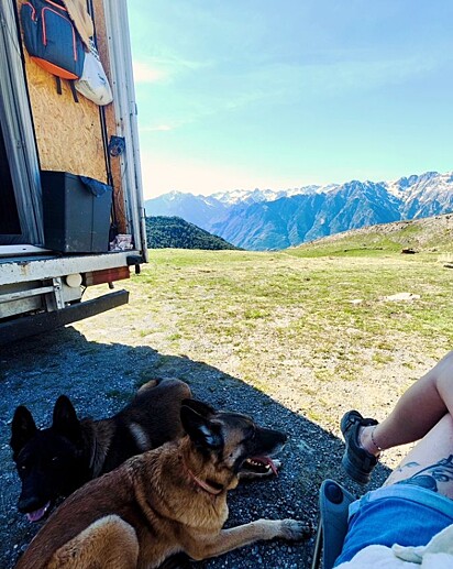 Hoje os cães e a tutora vivem em uma van viajando por todo o mundo.