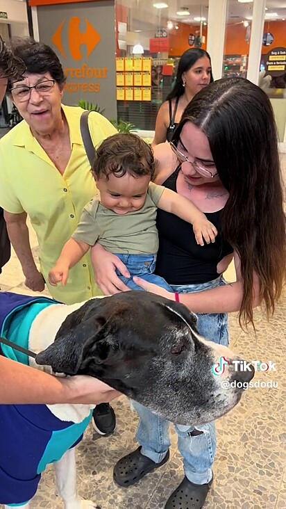 O cachorro é dócil até com bebês.