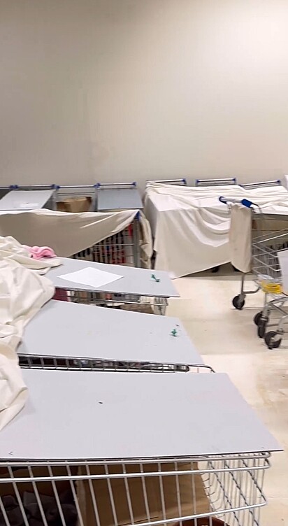 Como solução para abrigar dezenas de gatos, voluntários transformaram carrinhos de supermercado em abrigos individuais.