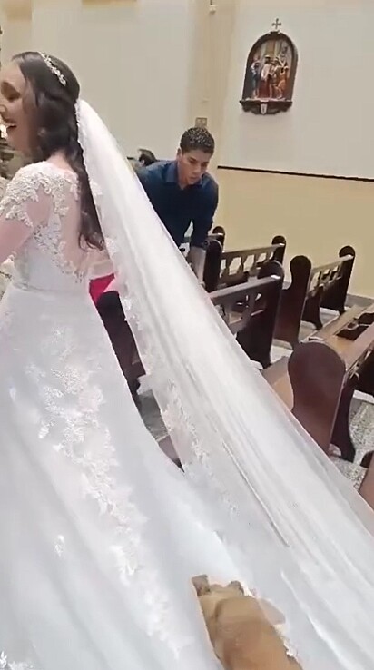 O cão caramelo decidiu deitar no vestido da noiva.