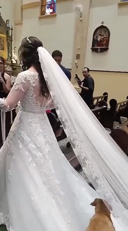 A noiva Maire Calegari entrava na igreja quando foi surpreendida por um convidado.