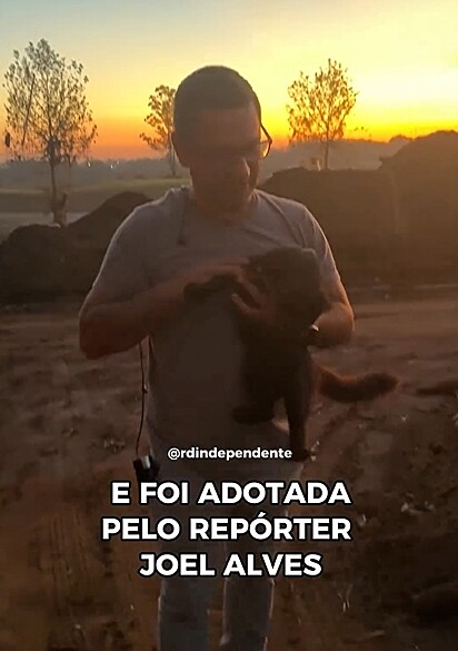 O repórter Joel Alves adotou a gatinha.