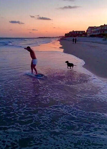 Skippy aprendeu a brincar na praia.