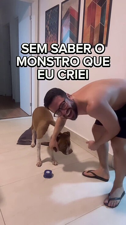 A pitbull aprendeu a usar os botões de comunicação.