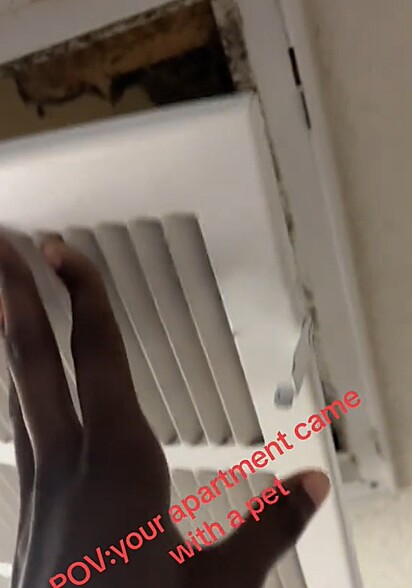 Myra ouviu barulhos estranhos vindo da tubulação de ventilação.