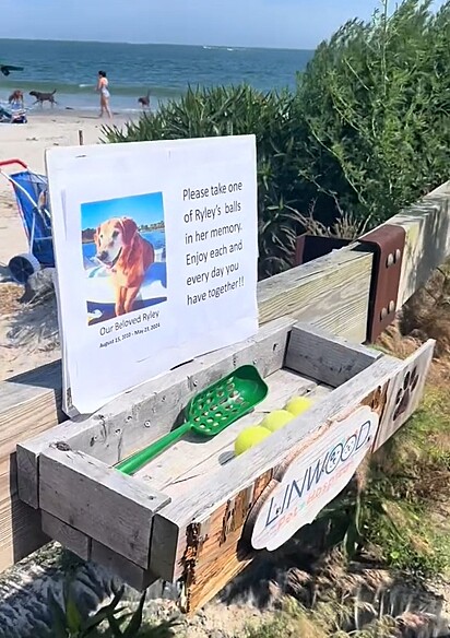 A placa que Alex encontrou na praia em homenagem ao cachorro da raça golden retriever.