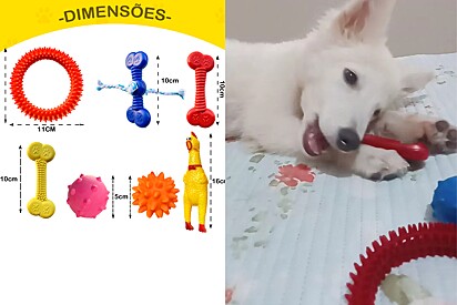 Kit de brinquedos para cães de pequeno porte ou filhotes. 