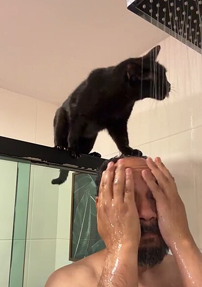 Thiago normalmente toma banho com um gato na cabeça. 