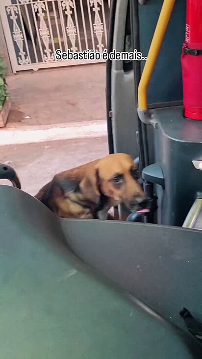 Bruno abre a porta para Sebastião acompanhá-lo no restante do trajeto.