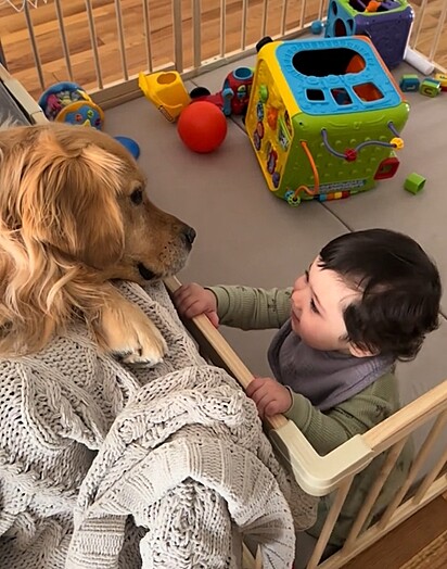 Beau e Frankie são melhores amigos. 