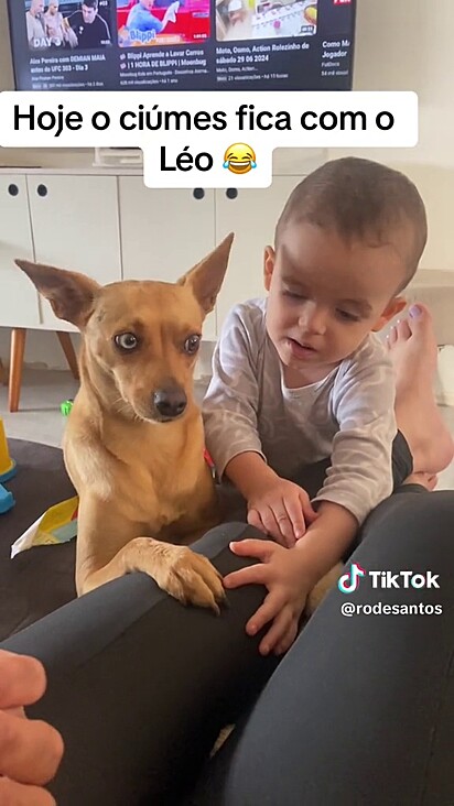 Léo sabe que Rode é sua mãe, mas ela também é mãe de pet. Ou seja, da Mel.