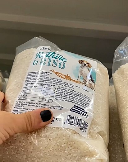 Os cães iatlianos comem arroz de risoto.