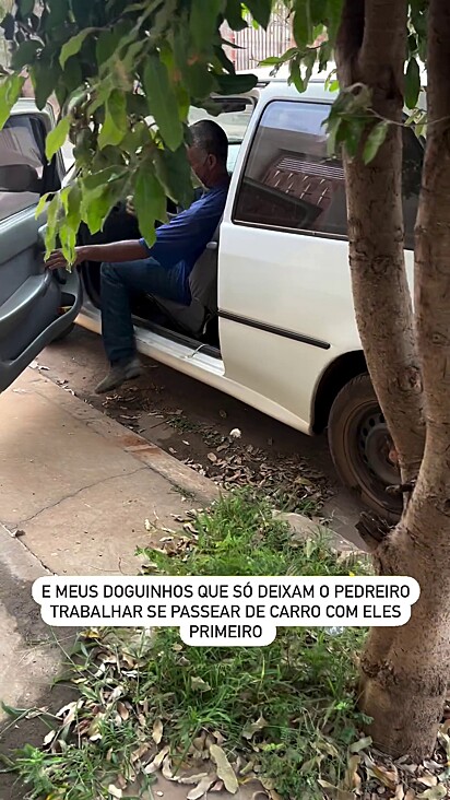 O homem faz a vontade dos cães.