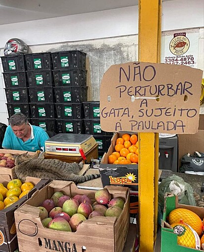 Placa pendurada em peixaria chama atenção.