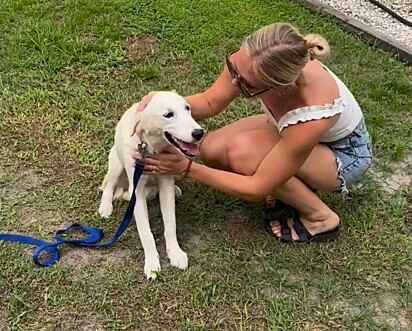 Daphne pronta para a sua mais nova aventura. 