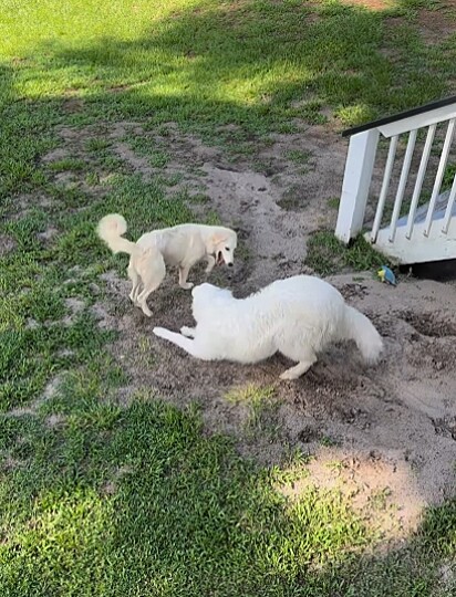 Com o tempo, Daphne foi se soltando. 