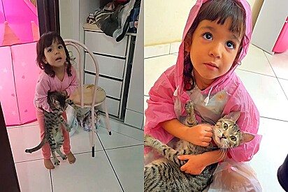 Assim nasce uma protetora: Menina de 3 anos faz de tudo para defender gata de bronca da mãe e vídeo encanta