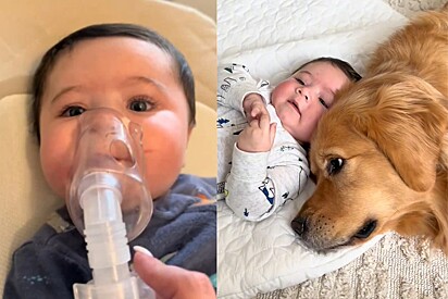 Bebê estava gravemente doente - o que cão golden retriever faz por ele derrete milhões de corações online.