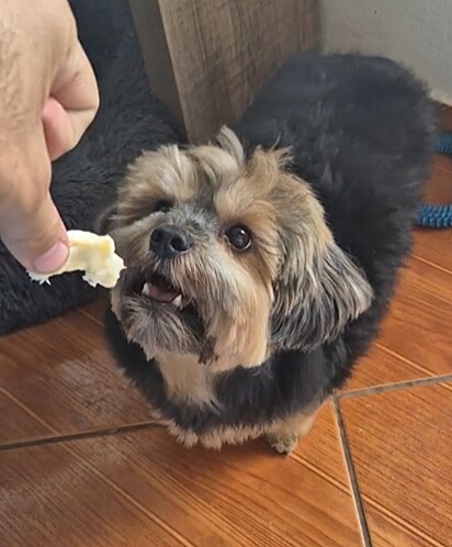 Billy: Nada pra comer nessa casa.