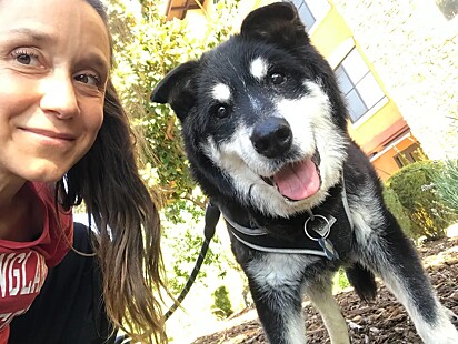 Fritz foi acolhido por uma voluntária do abrigo de animais Muttville Senior Dog Rescue.