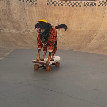 Mel arrasa no skate!