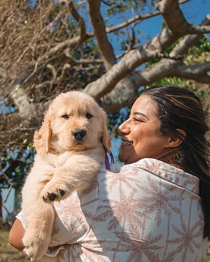 A golden retriever Pandora no colo da sua tutora.