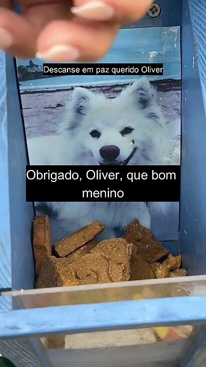 O vídeo de Dani chegou até a família de Oliver.