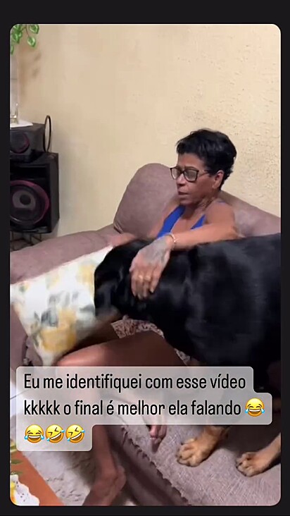 O cão pegou a almofada revoltado por não querer descer do sofá.