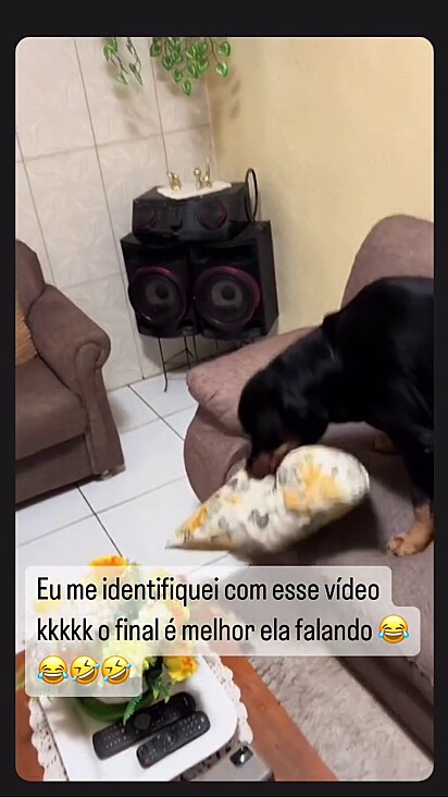 Thayna não consegue adestrar o cão.