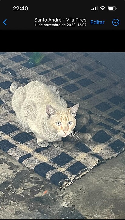 Dia que Leôncio apareceu na loja.