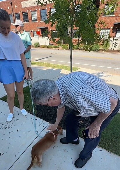 O idoso acariciando os cães do evento.