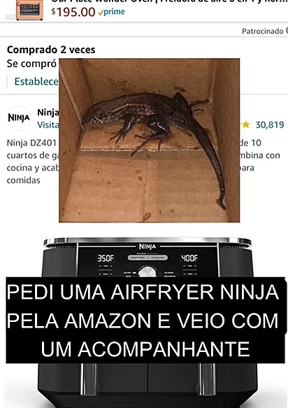 O lagarto estava dentro da caida da air fryer.