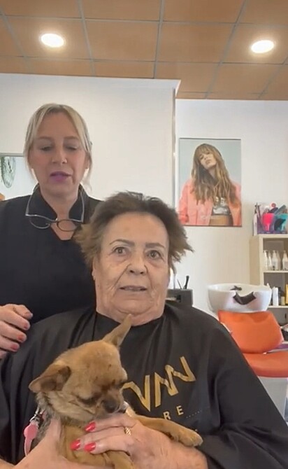 A dona Maria queria pintar o cabelo da mesma cor do pelo do cachorro.