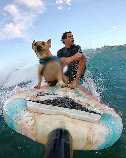 Mylo e seu tutor pegando uma onda.