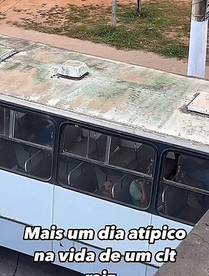 Caramelo revela seu cansaço ao pegar uma carona no ônibus urbano.