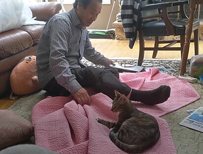 Jaeshin Ha não gostava de gatos.