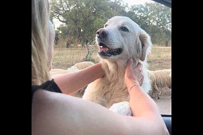 Mulher viajava pela Itália quando, de repente, surgiu alguém charmoso em sua janela.