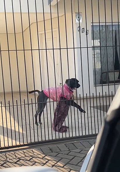  As meninas caíram na risada ao ver a roupa da cachorrinha.