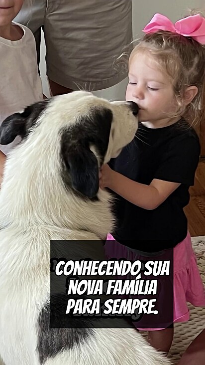 O cachorro ama a nova família e adora as crianças.