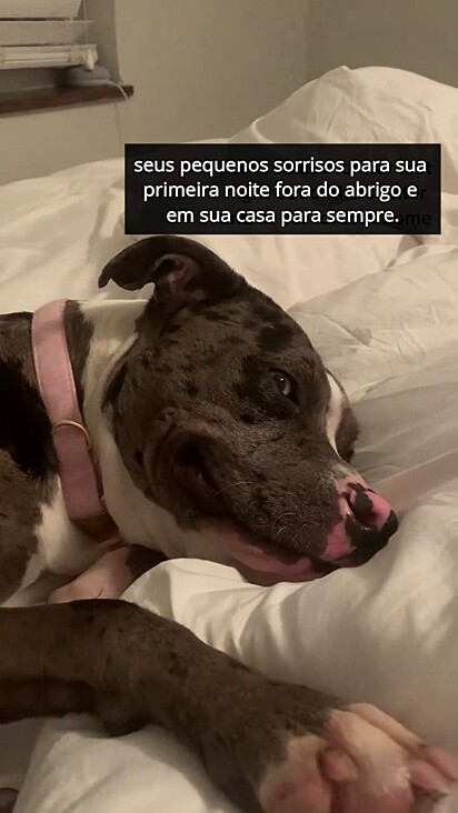 Margot se sentiu em casa desde o primeiro momento.