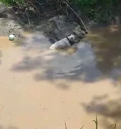 O cachorro estava há dois dias no rio.