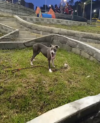 Dana não gosta de ser chamada de gorda.