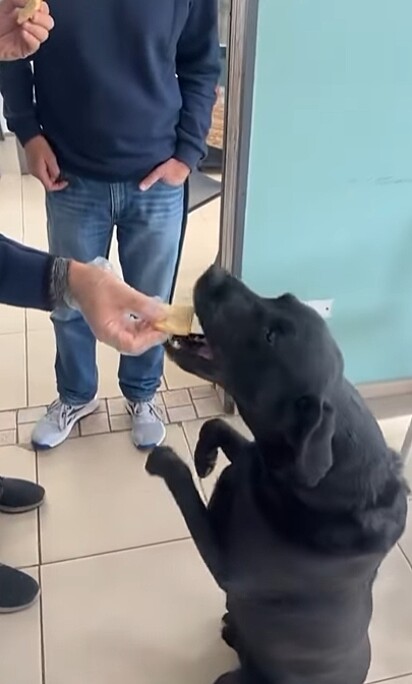 Ele até ganha um criollito do dono da padaria enquanto espera.