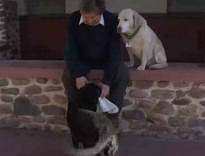 Otto chegando em casa com o pedido e entregando para o tutor. Ao lado está a irmã, Rubia.