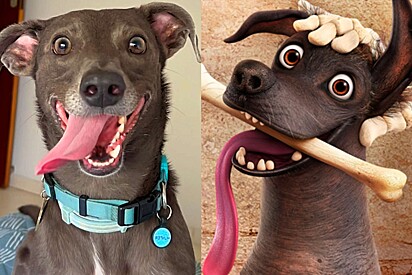 Hunter é parecido com o personagem da Pixar, o cão Dante, do filme A vida é uma festa.