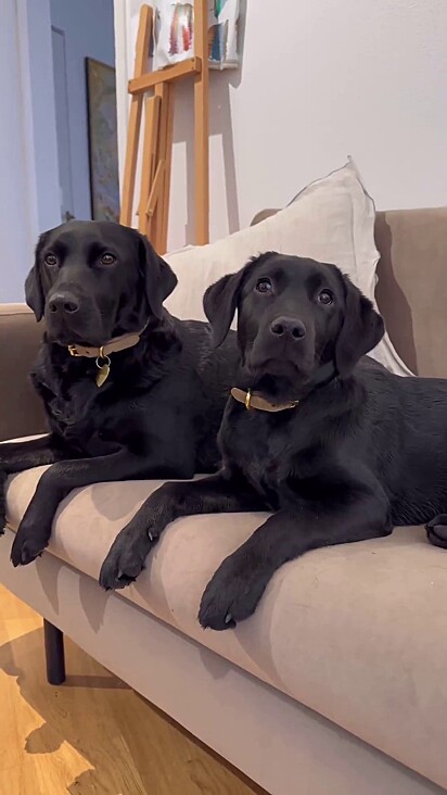 Eva e a mãe são melhores amigas.